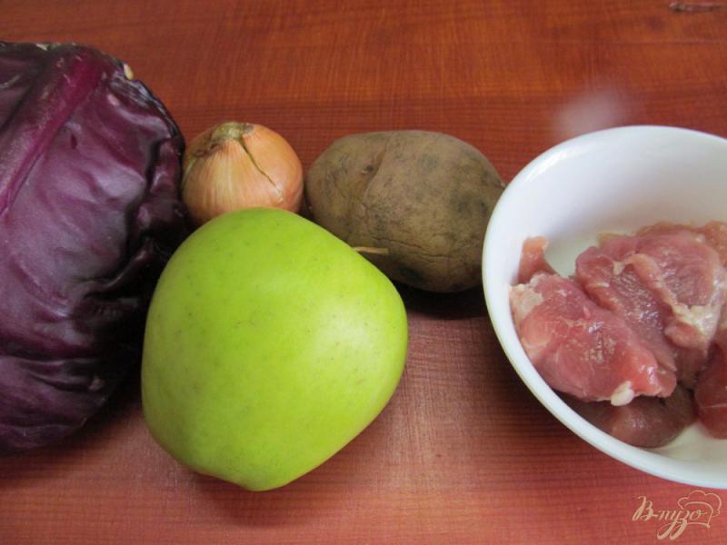 Фото приготовление рецепта: Свинина с яблоком и красной капустой шаг №1