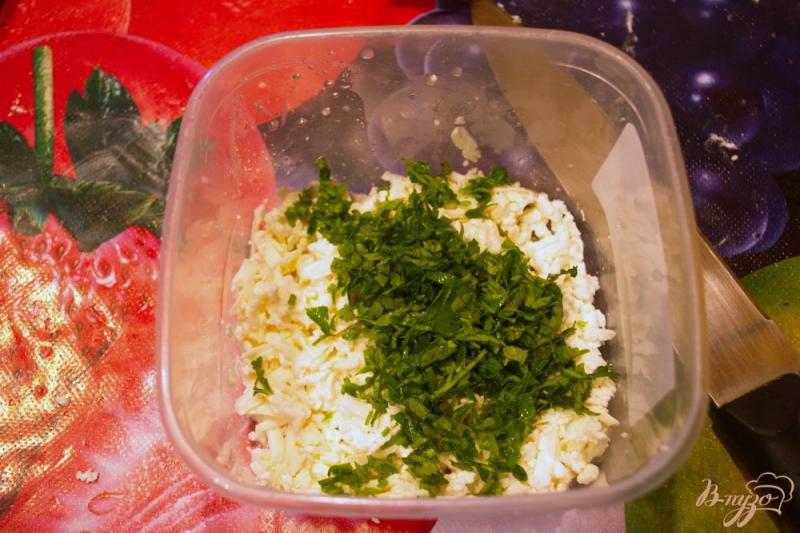 Фото приготовление рецепта: Кавказские лепешки с творогом и  зеленью шаг №2