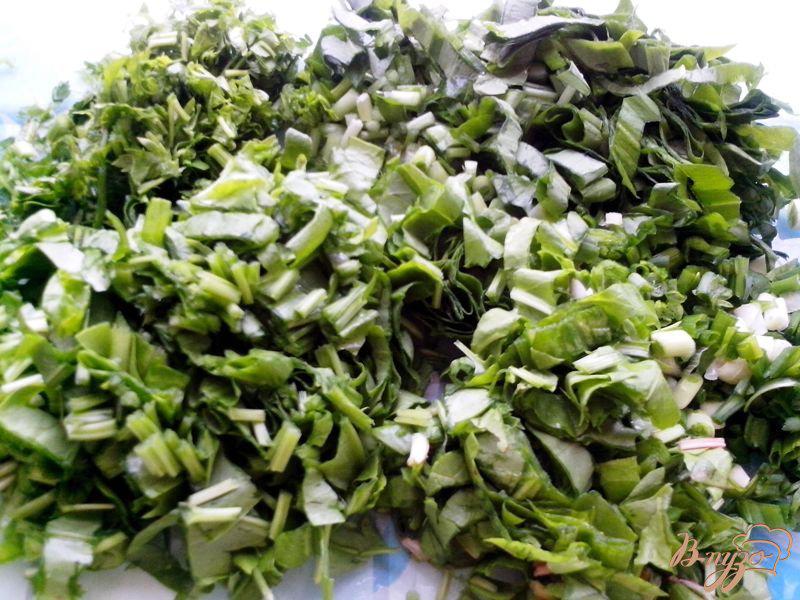 Фото приготовление рецепта: Борщ зелёный с черемшой и шпинатом в мультиварке-скороварке шаг №5