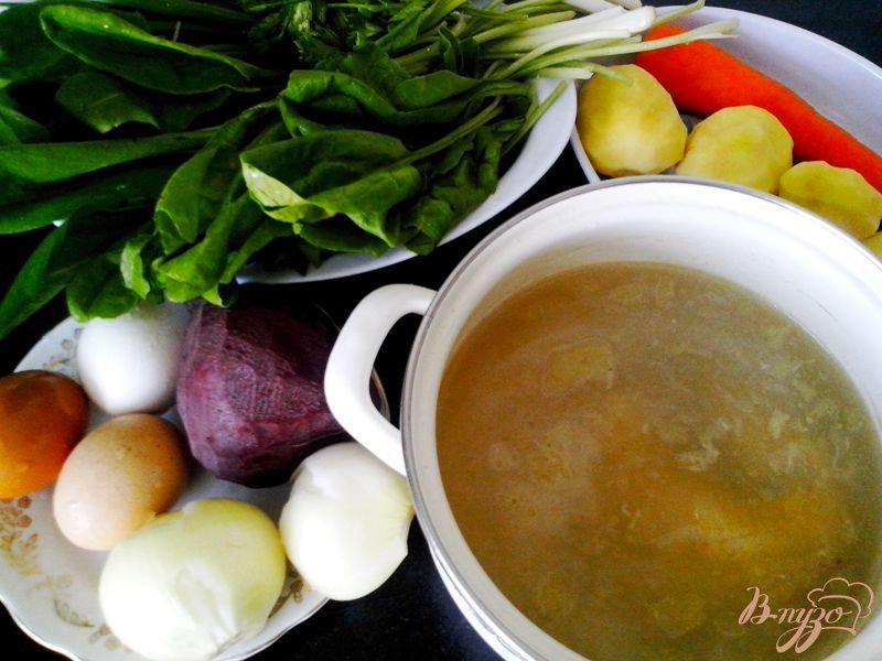 Фото приготовление рецепта: Борщ зелёный с черемшой и шпинатом в мультиварке-скороварке шаг №1