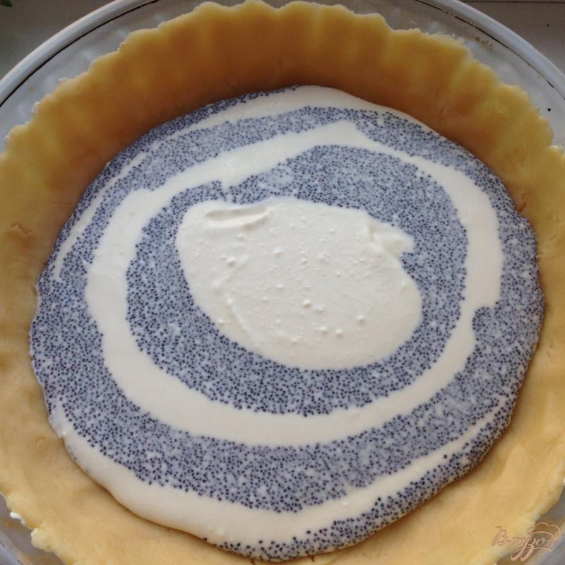 Фото приготовление рецепта: Пирог с творогом и маком шаг №8