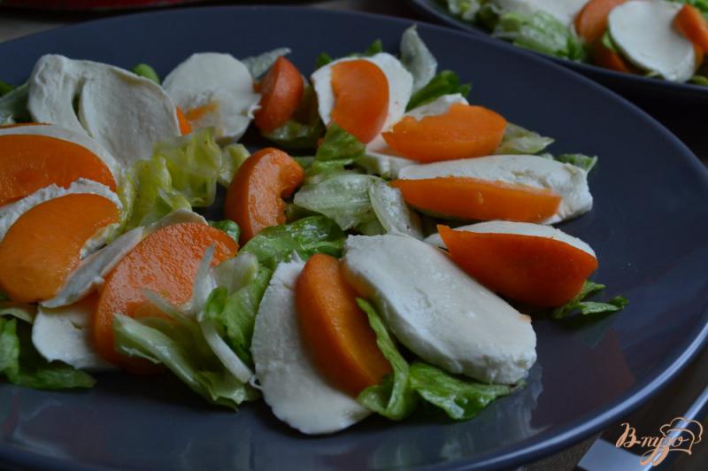 Фото приготовление рецепта: Салат с моцареллой, абрикосами и креветками шаг №4